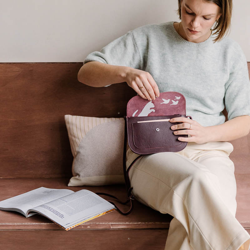 Cat Chase - Aubergine